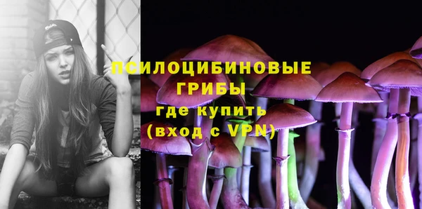 мдма Щучье