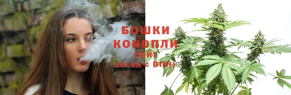 прущая мука Щигры
