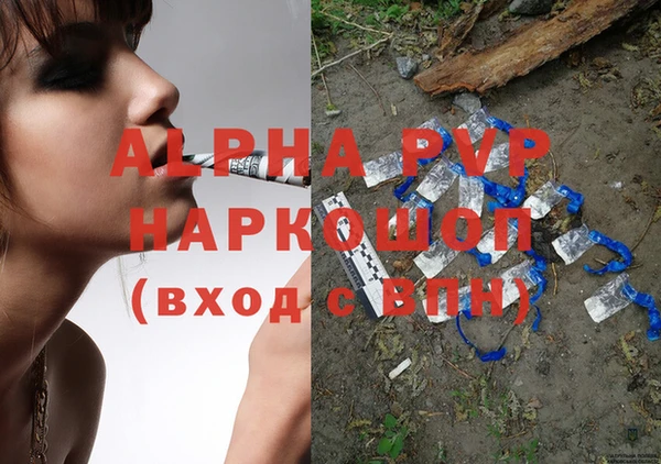 шишки Белокуриха