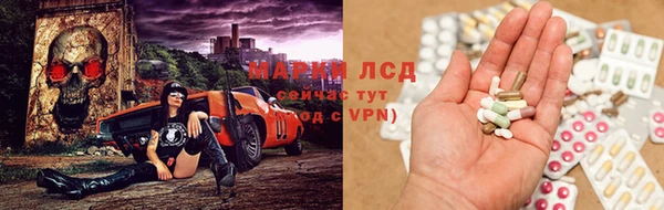гидропоника Ладушкин