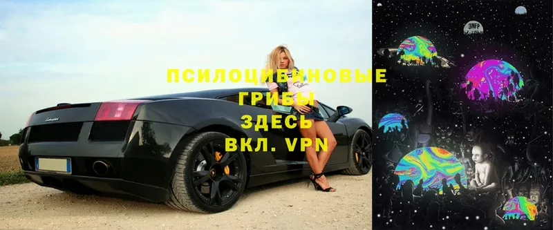 Псилоцибиновые грибы прущие грибы  магазин    Железногорск-Илимский 